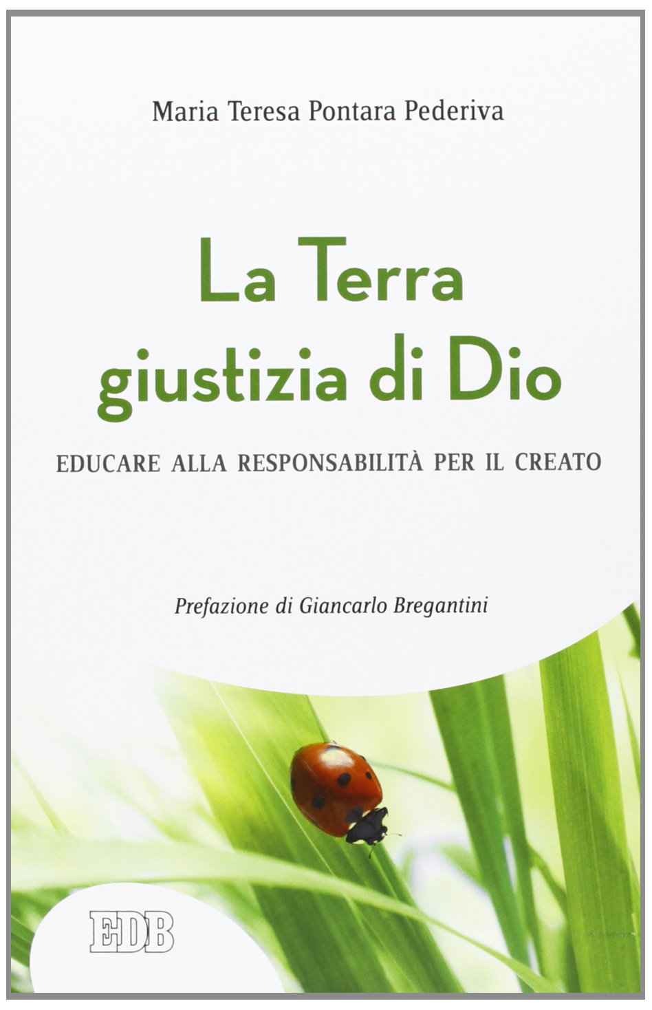 La Terra giustizia di Dio. Educare alla responsabilità per il creato book