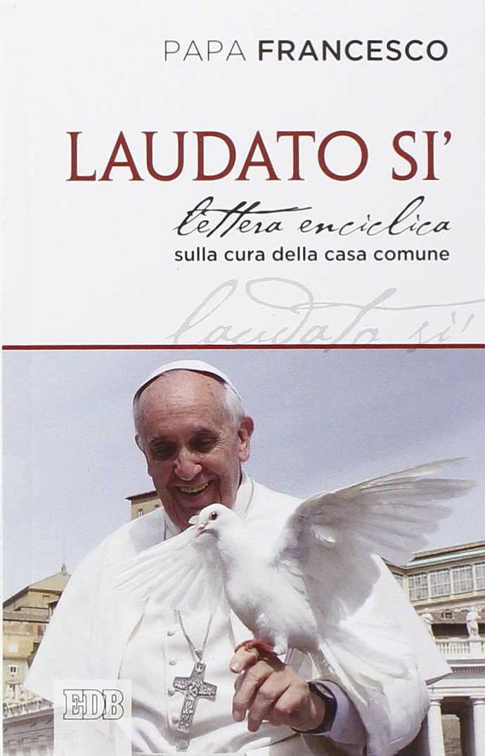 Laudato si'. Lettera enciclica sulla cura della casa comune book