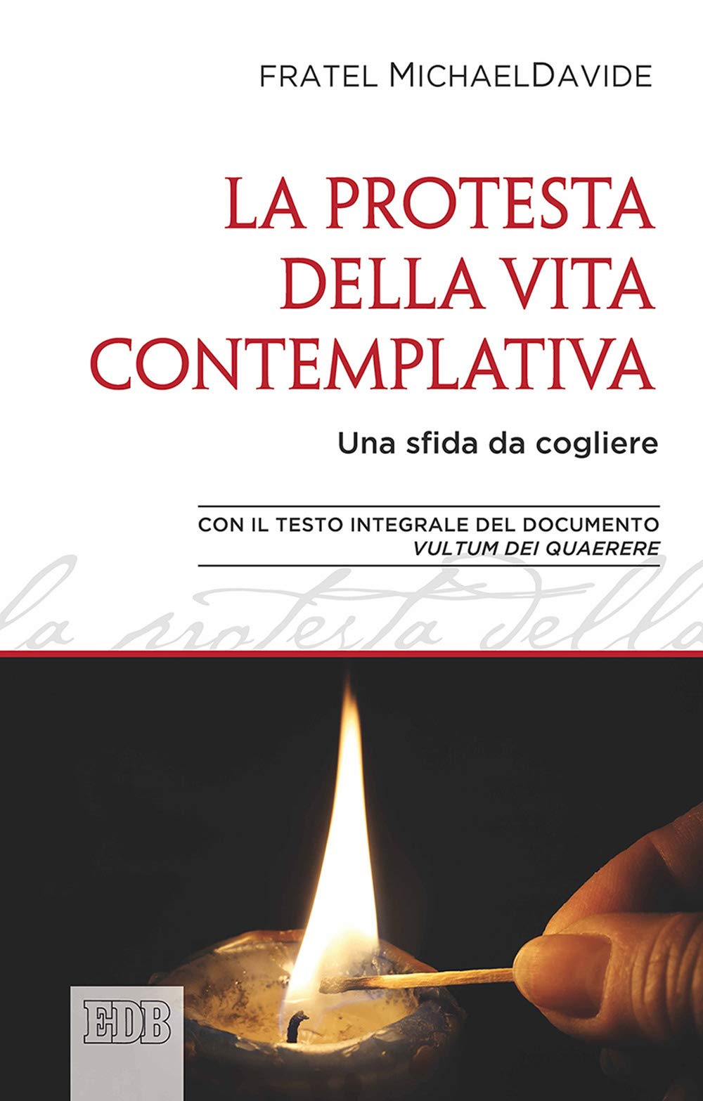 Protesta della vita contemplativa. Una sfida da cogliere (Documenti ecclesiali, Band 56) Religion & Esotericism