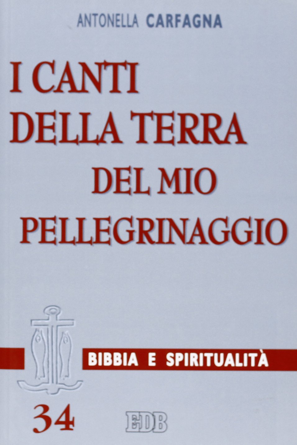 I canti della terra del mio pellegrinaggio. (Sal 119,54) book