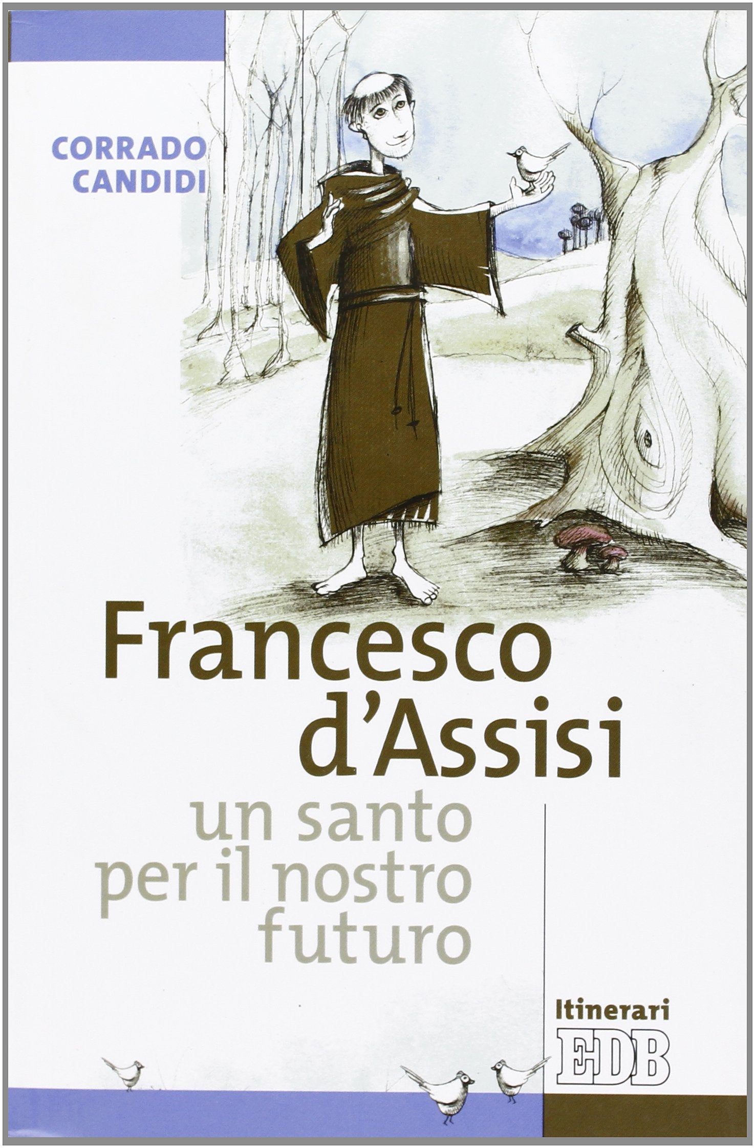 Francesco d'Assisi, un santo per il nostro futuro book