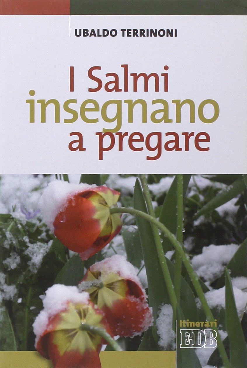 I salmi insegnano a pregare book