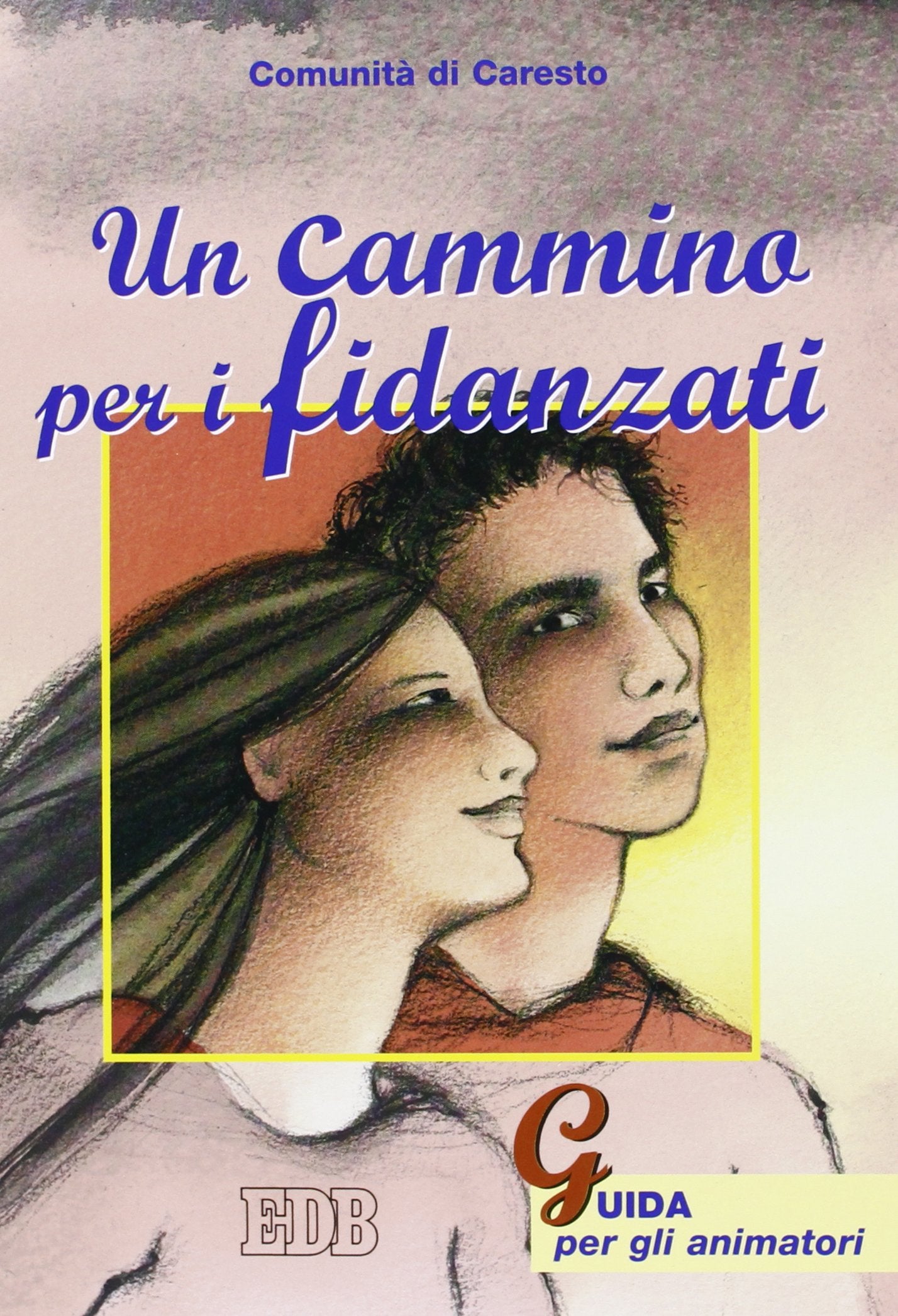 Un cammino per i fidanzati. Guida per gli animatori book