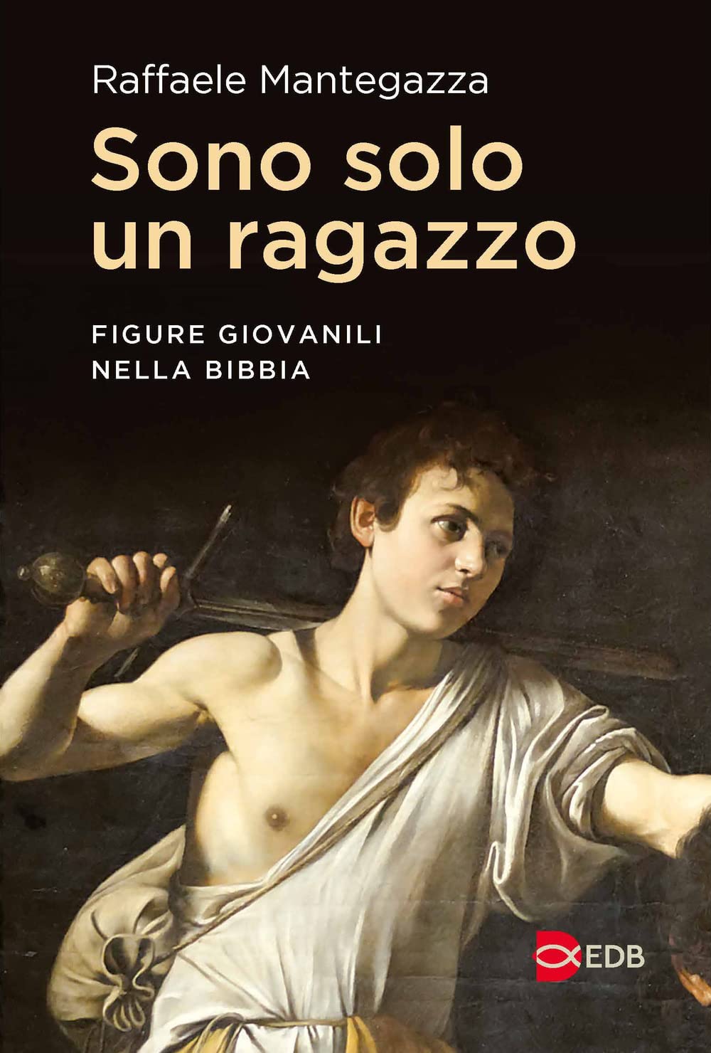 Sono solo un ragazzo. Figure giovanili nella Bibbia book