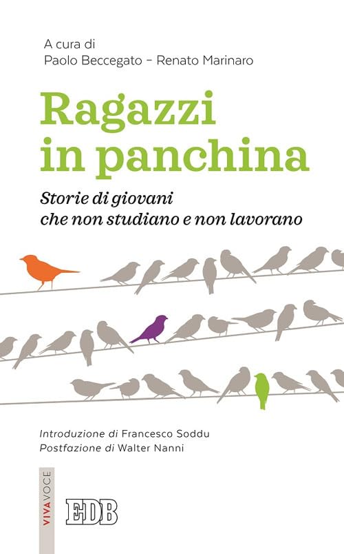 Ragazzi in panchina. Storie di giovani che non studiano e non lavorano book