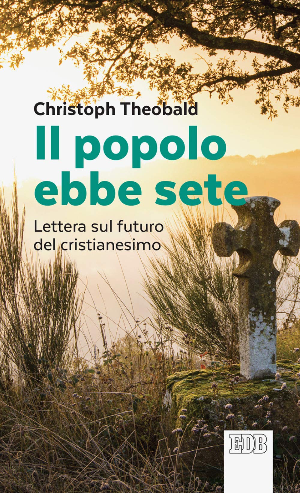 Il popolo ebbe sete. Lettera sul futuro del cristianesimo book