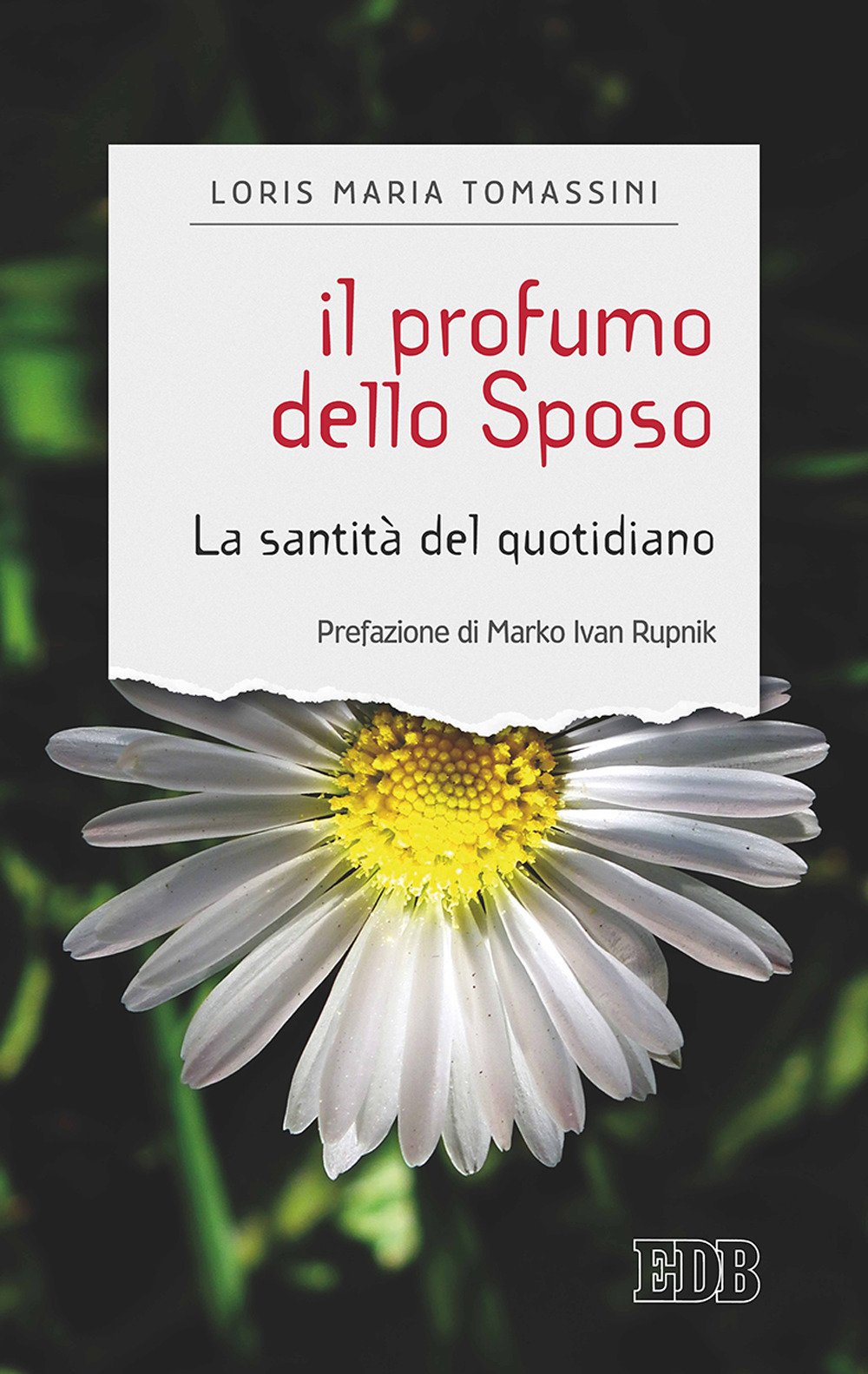 Il profumo dello sposo. La santità del quotidiano book