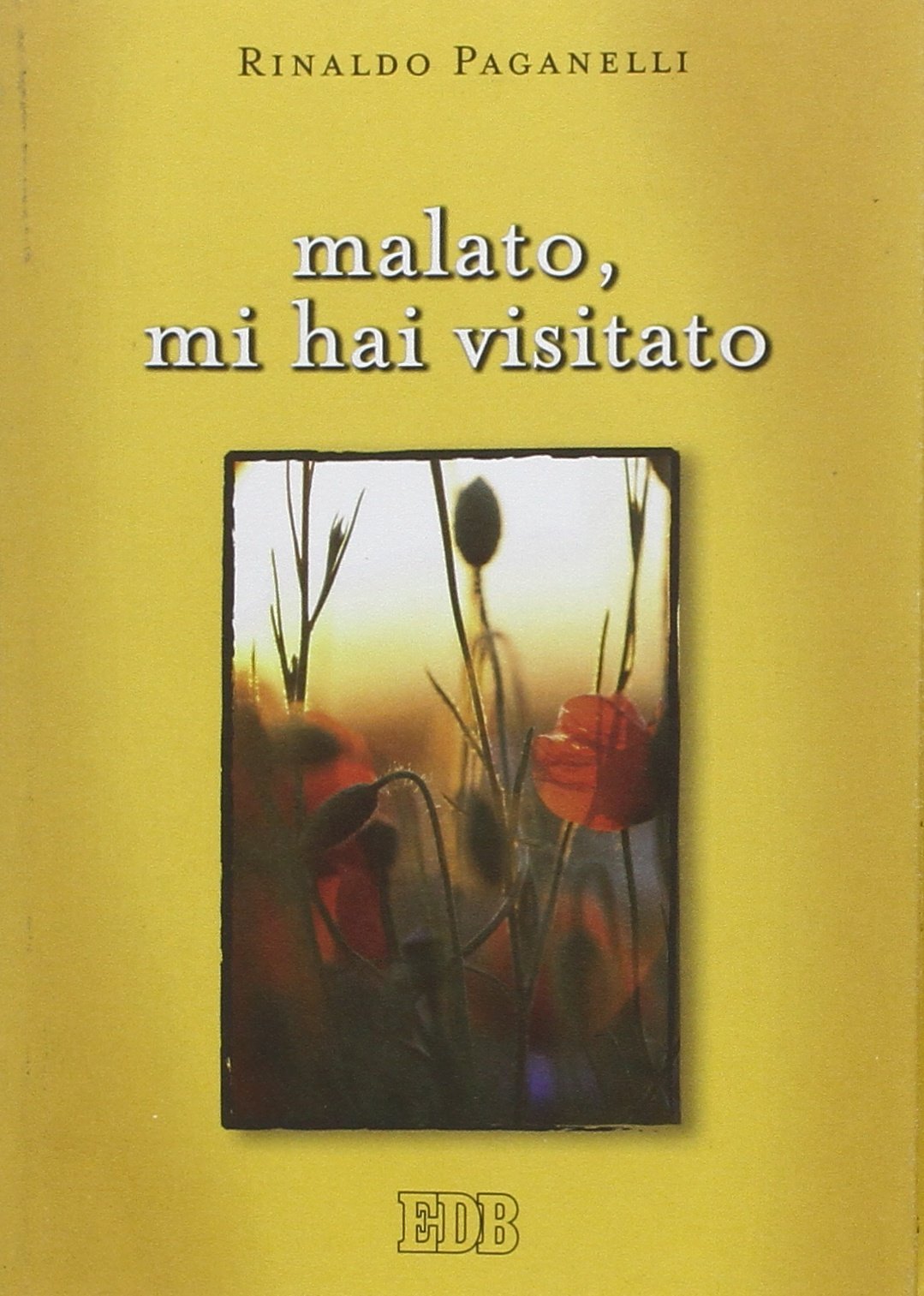 Malato, mi hai visitato (Meditazioni, Band 98) Religion & Esotericism