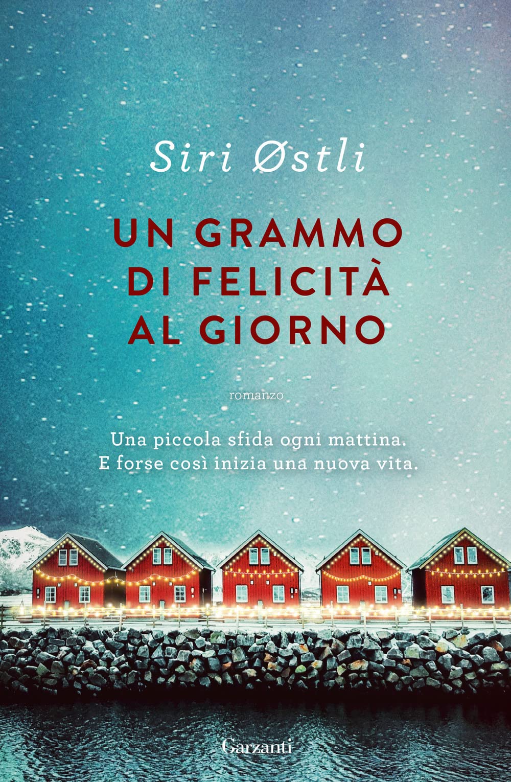 Un grammo di felicità al giorno Contemporary literature