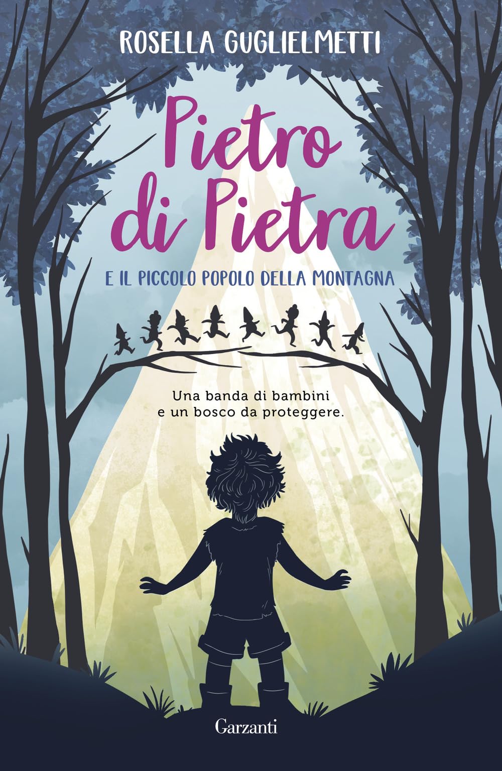 Pietro di Pietra e il piccolo popolo della montagna book
