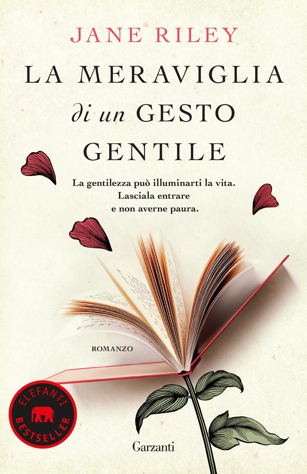 La meraviglia di un gesto gentile book