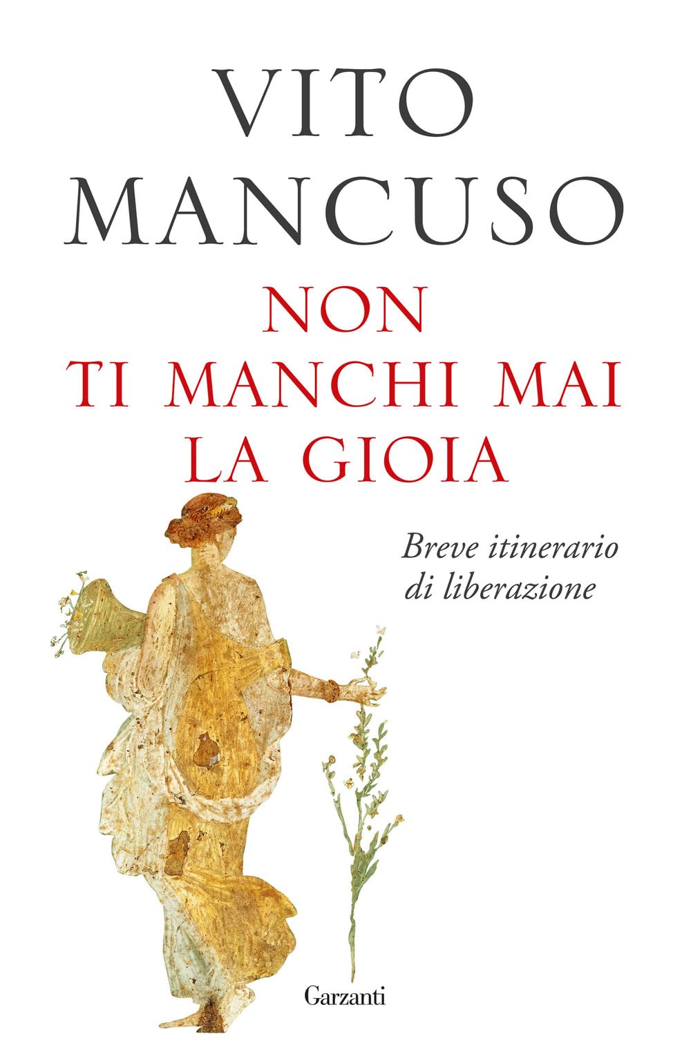Non ti manchi mai la gioia. Breve itinerario di liberazione book
