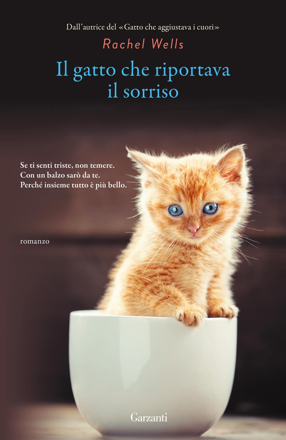 Il gatto che riportava il sorriso book