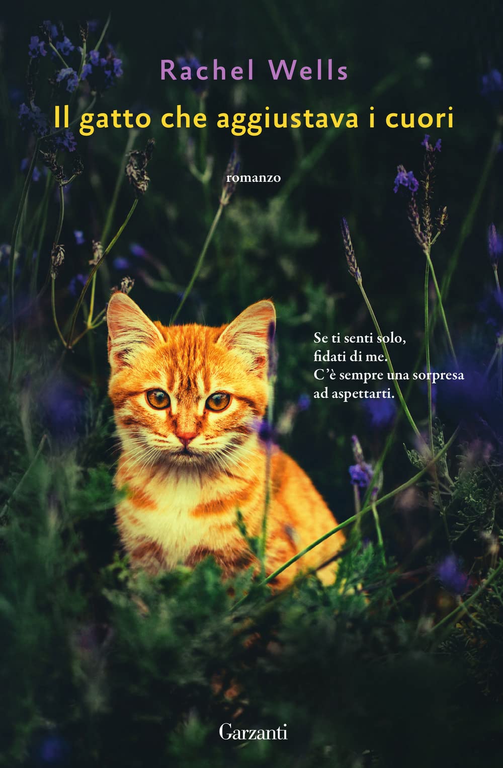 Il gatto che aggiustava i cuori Contemporary literature