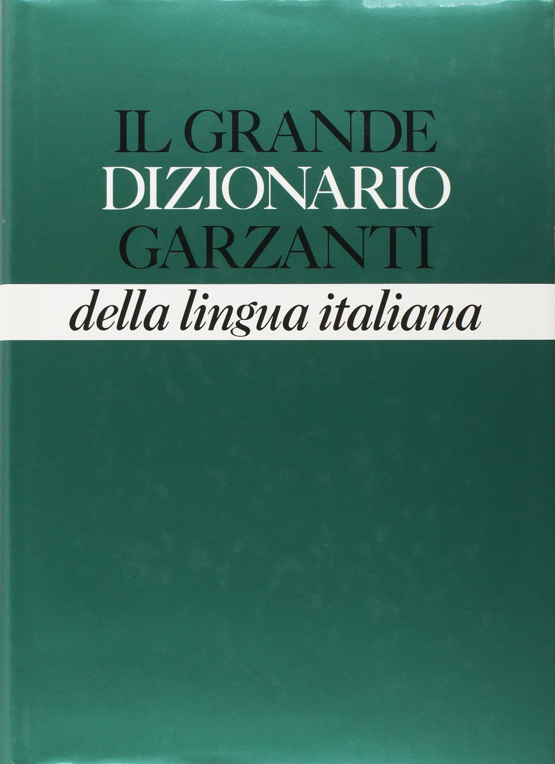 Il grande dizionario della lingua italiana Foreign Languages ​​& Dictionaries