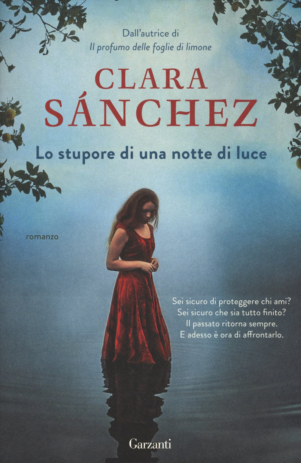 Lo stupore di una notte di luce (Elefanti Gold) Contemporary literature