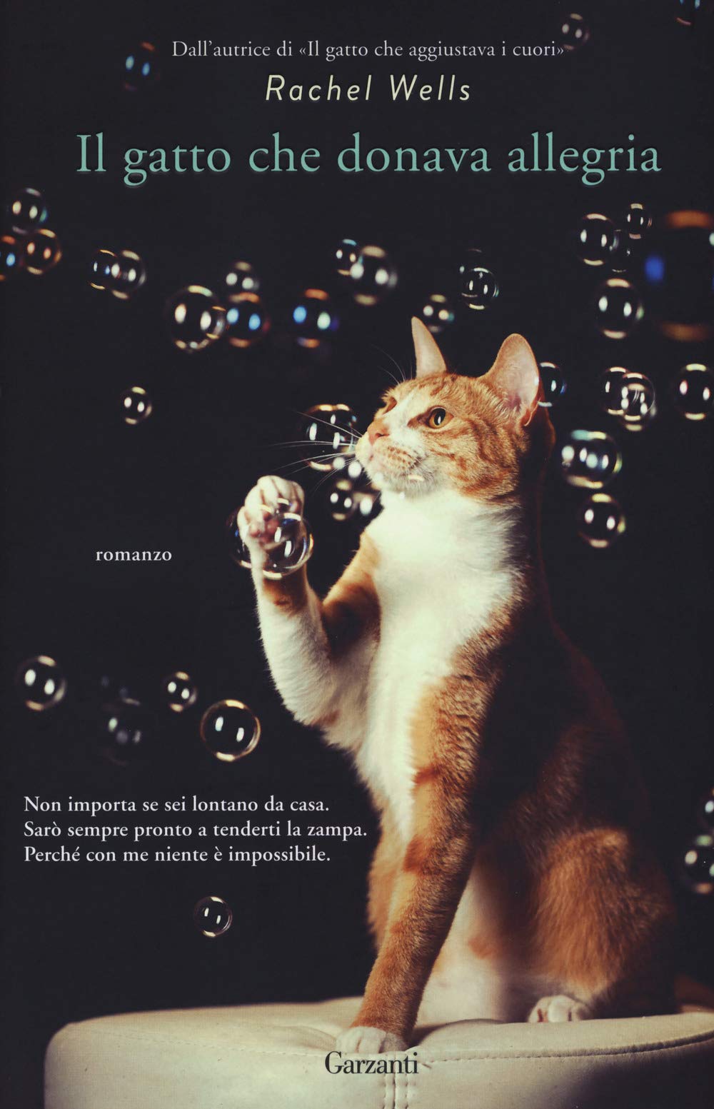 Il gatto che donava allegria (Narratori moderni) Contemporary literature
