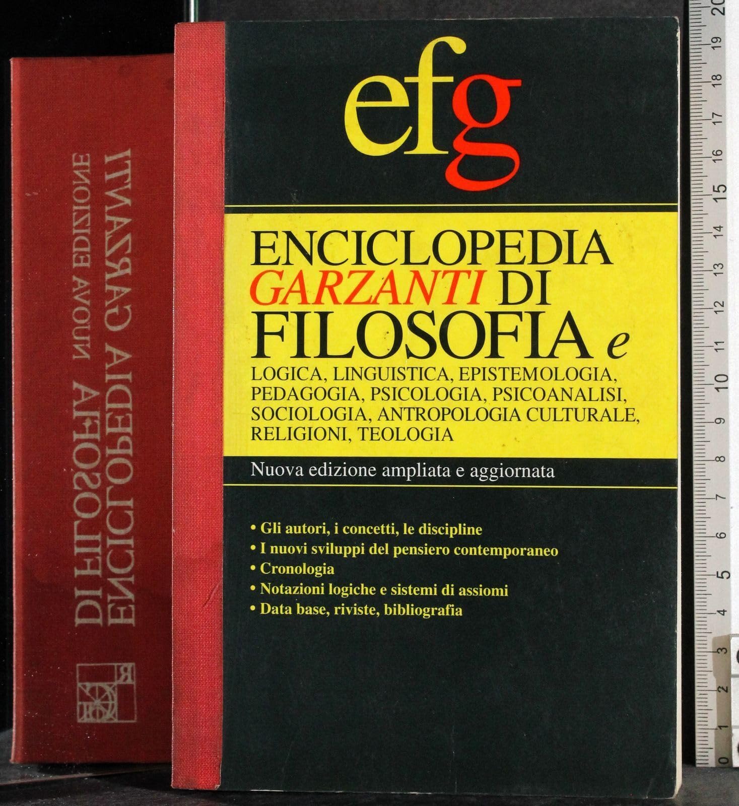Enciclopedia Garzanti di filosofia (Le Garzantine) Philosophy