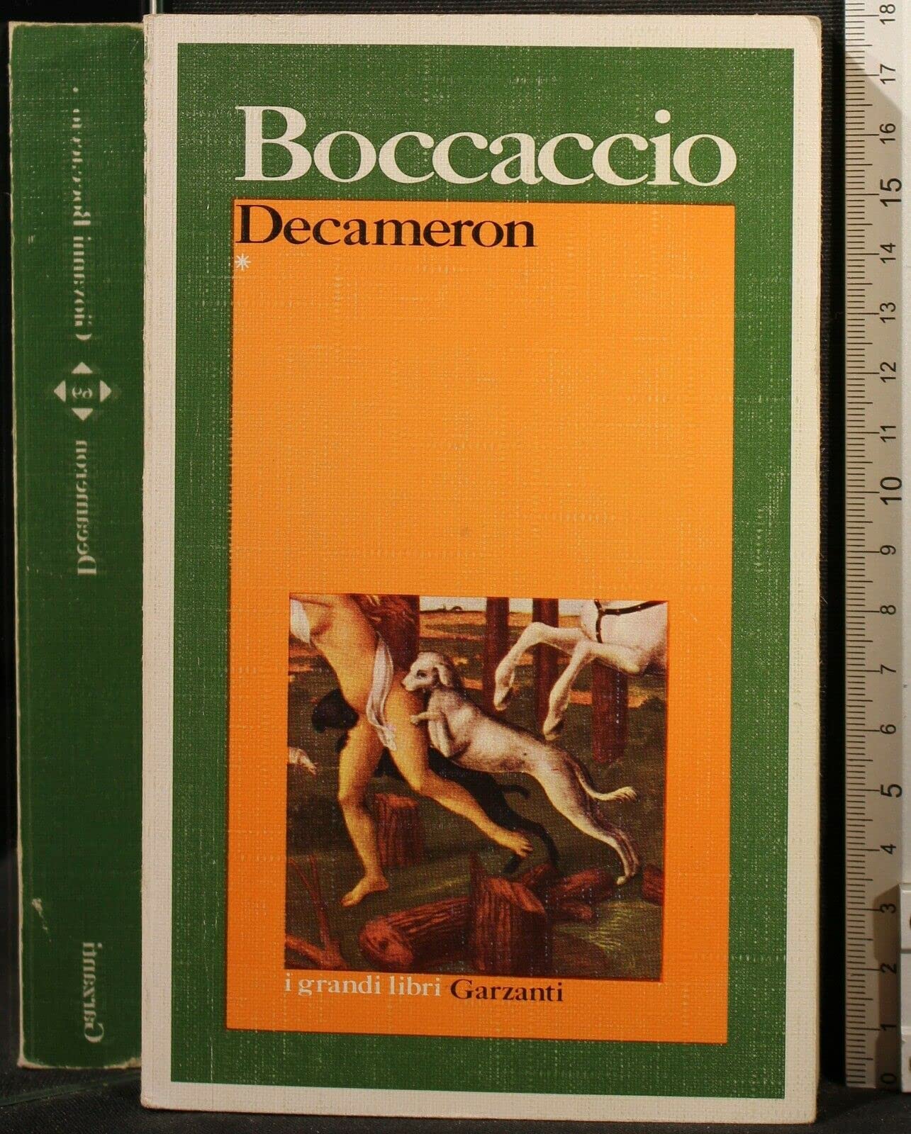 Il decameron (I grandi libri) Essays & Short Stories