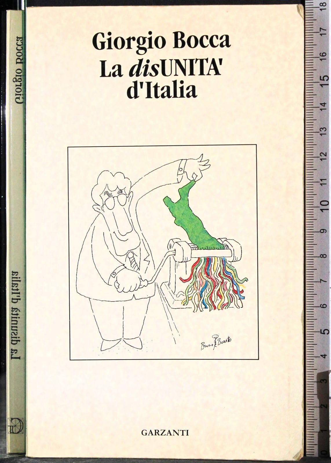 La disunità d'Italia. Per venti milioni di italiani la democrazia è in coma e l'Europa si allontana book