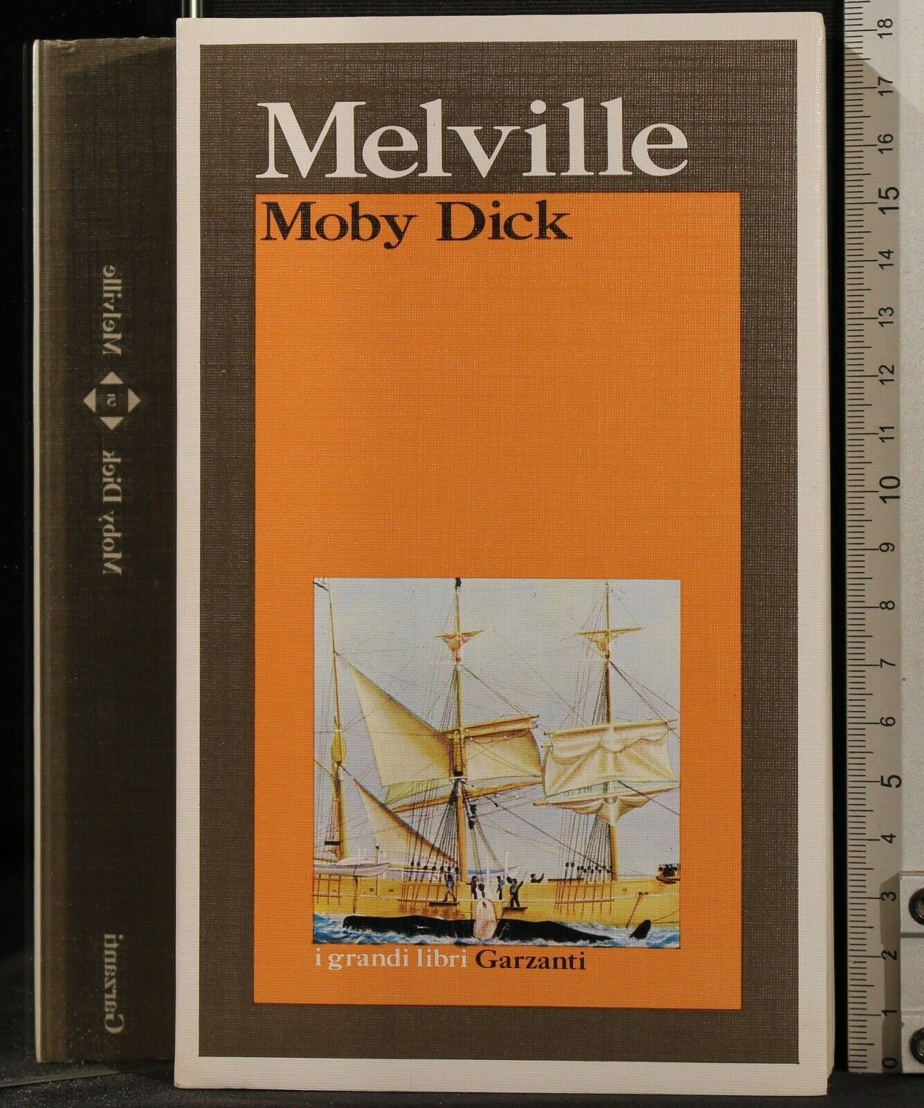 Moby Dick (I grandi libri, Band 5) Classics