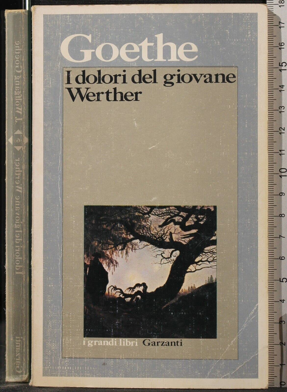 I dolori del giovane Werther (I grandi libri, Band 6) Classics