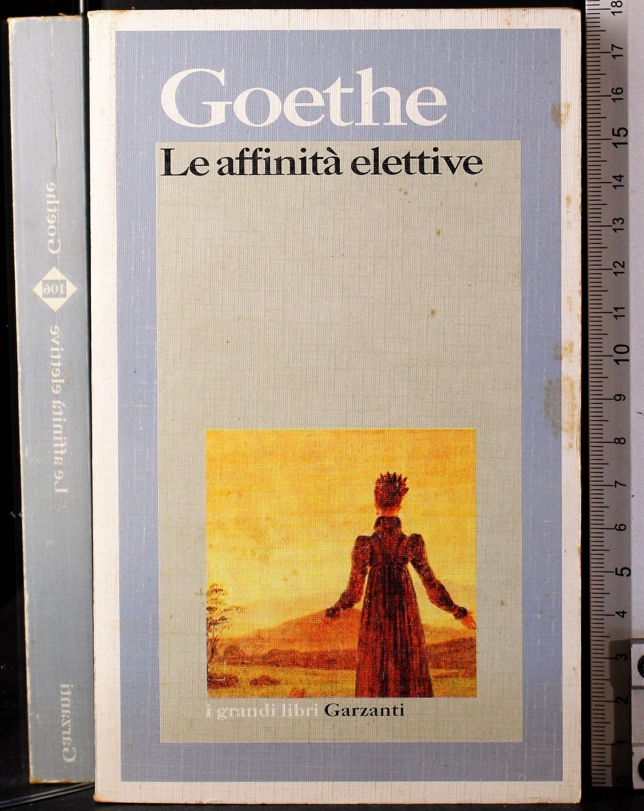 Le affinità elettive (I grandi libri, Band 106) Classics
