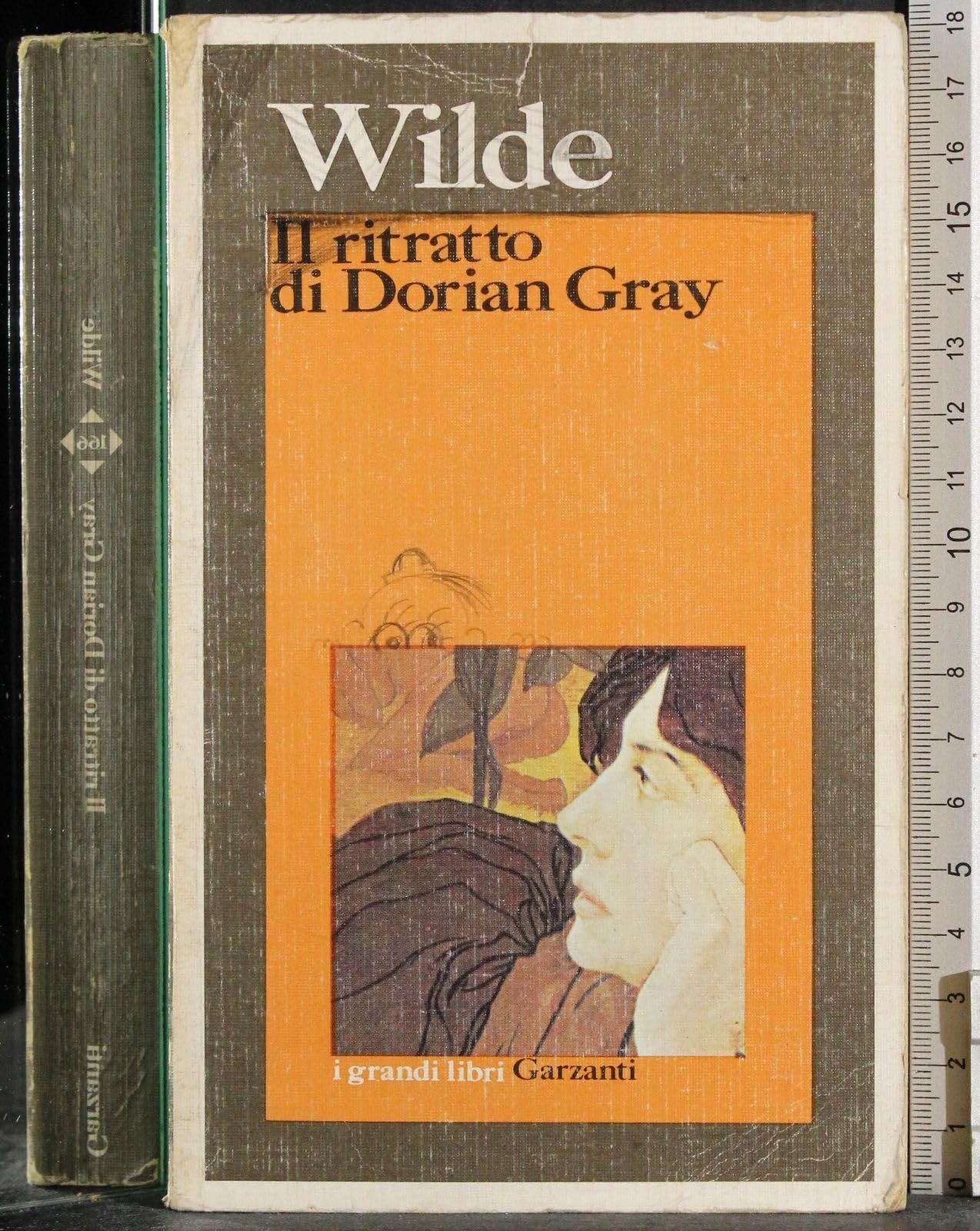 Il ritratto di Dorian Gray (I grandi libri, Band 166) Classics