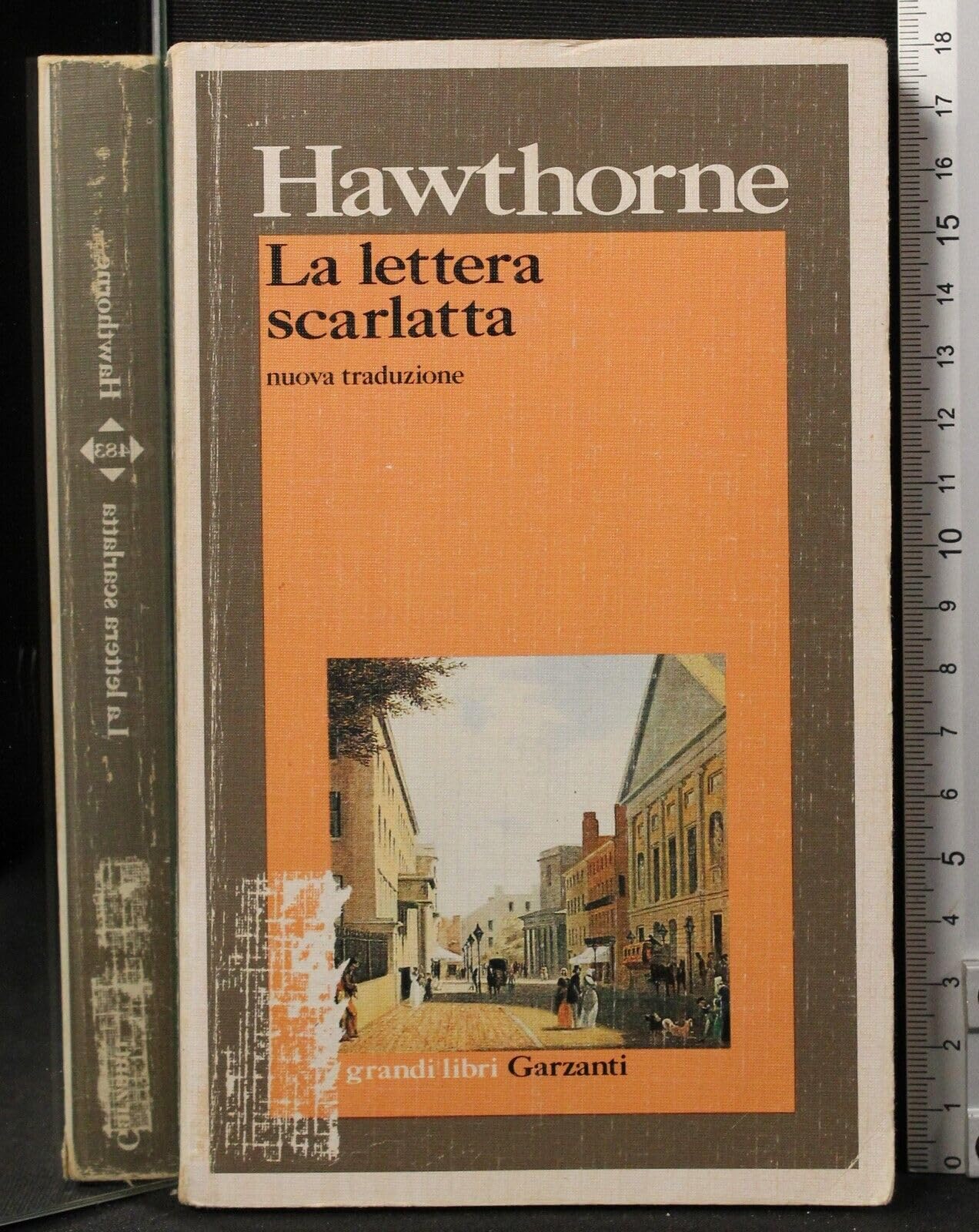 La lettera scarlatta (I grandi libri, Band 483) Classics