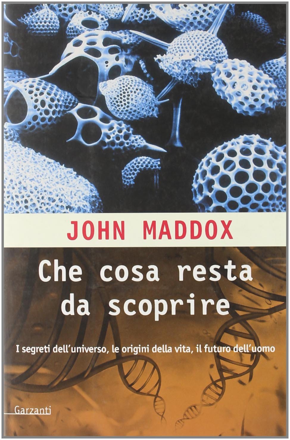 Che cosa resta da scoprire. Una mappa dei segreti delle origini della vita e del futuro dell'uomo (Saggi rossi) Natural Sciences