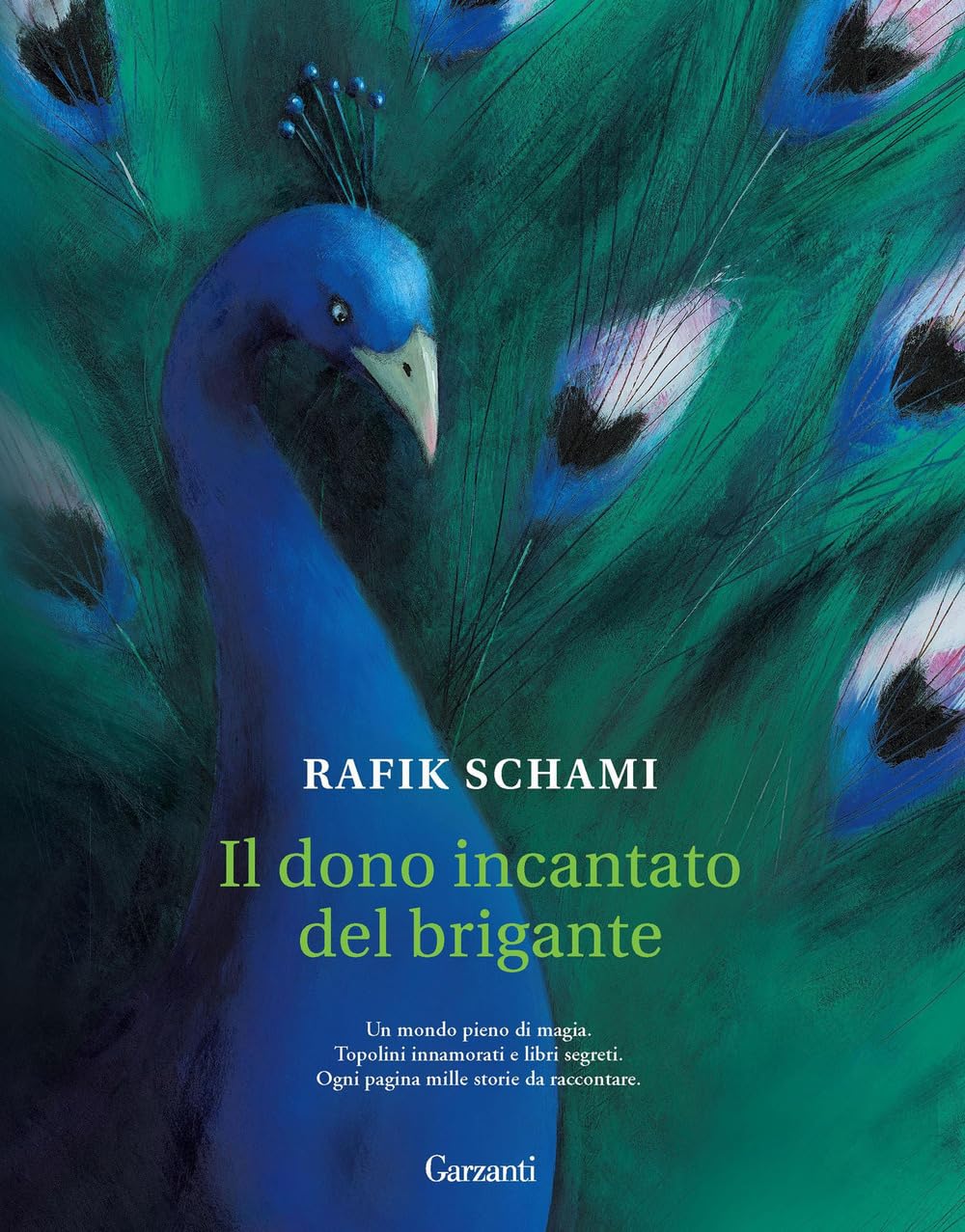 Il dono incantato del brigante book
