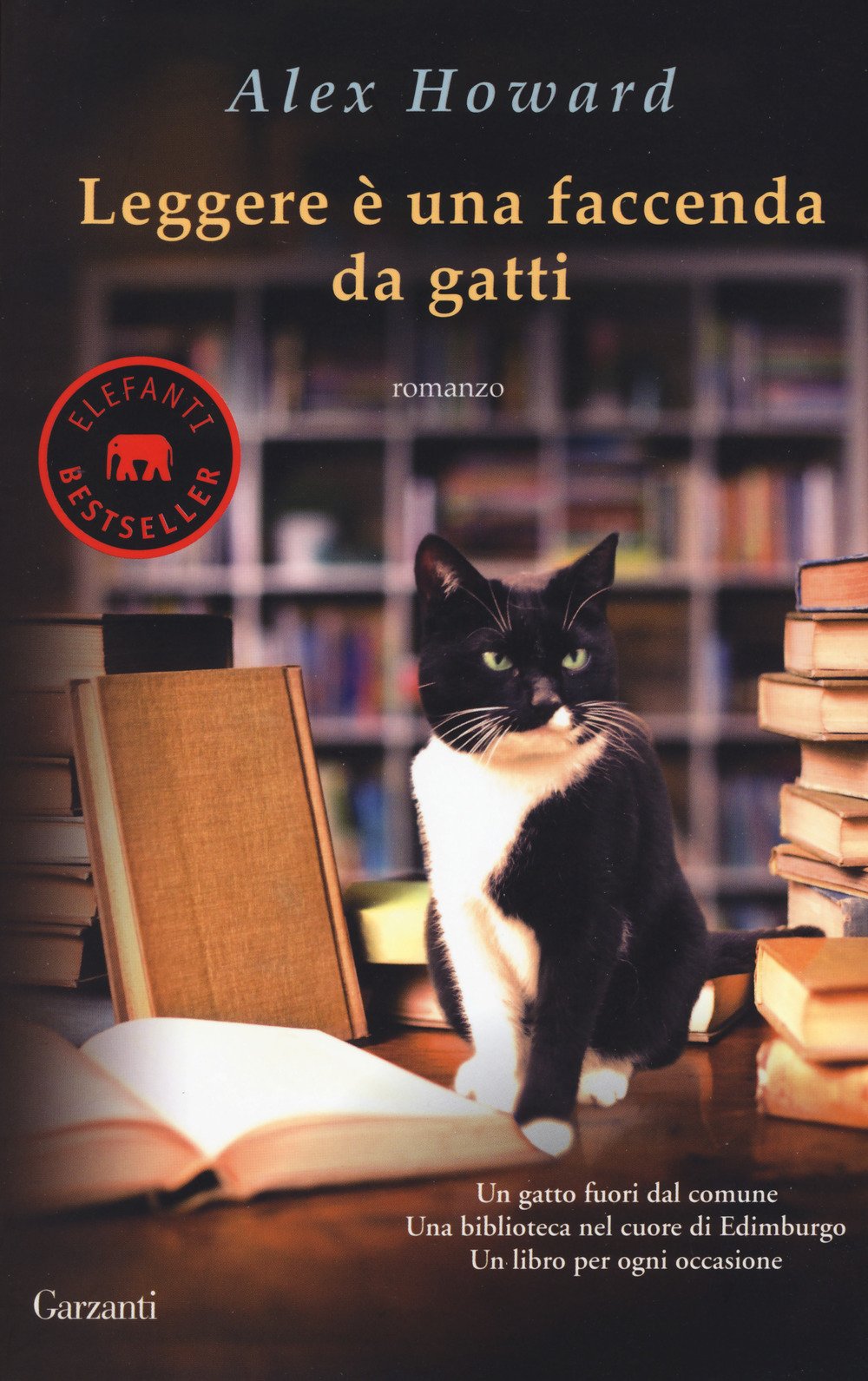 Leggere è una faccenda da gatti Contemporary literature