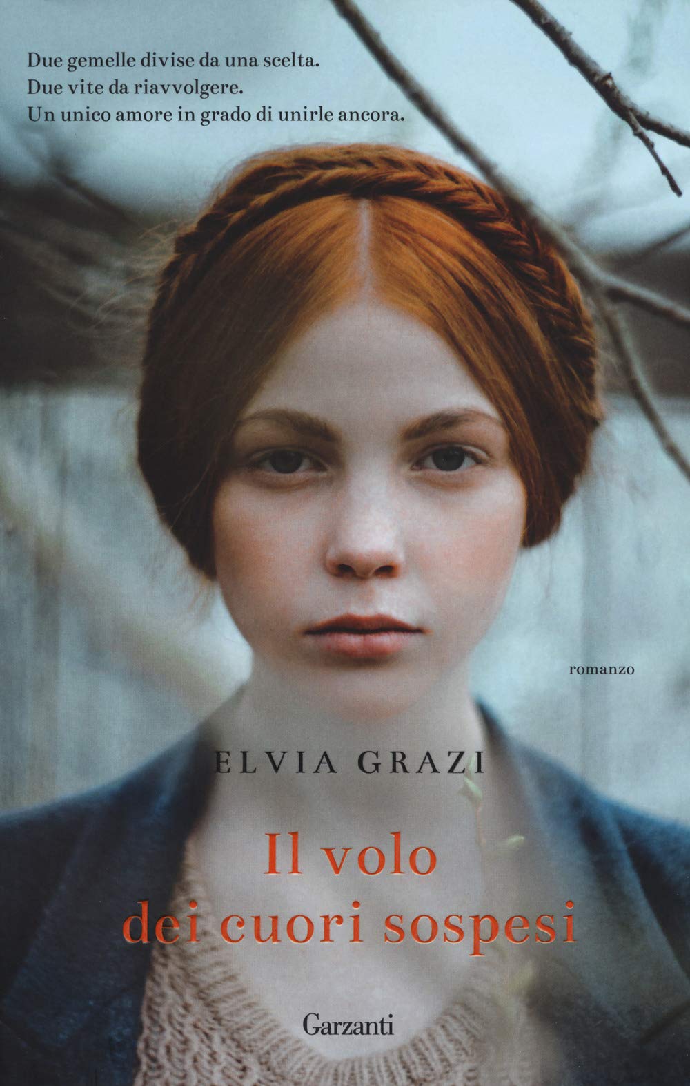 Il volo dei cuori sospesi book