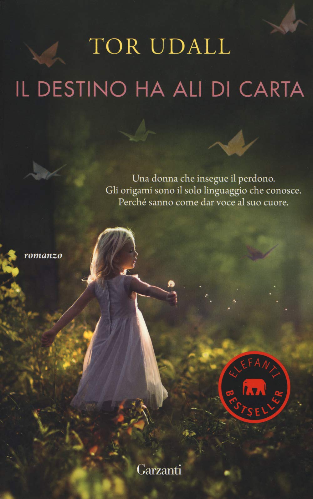 Il destino ha ali di carta book