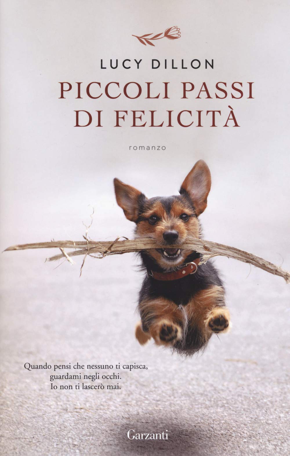 Piccoli passi di felicità Social Sciences