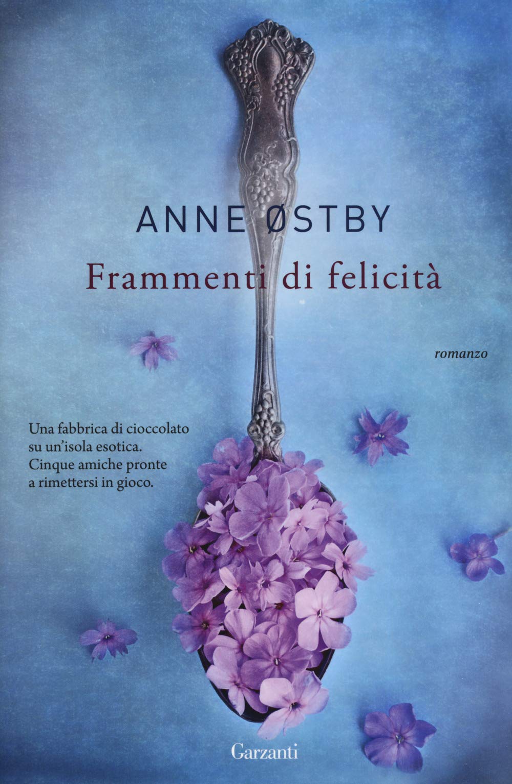 Frammenti di felicità book