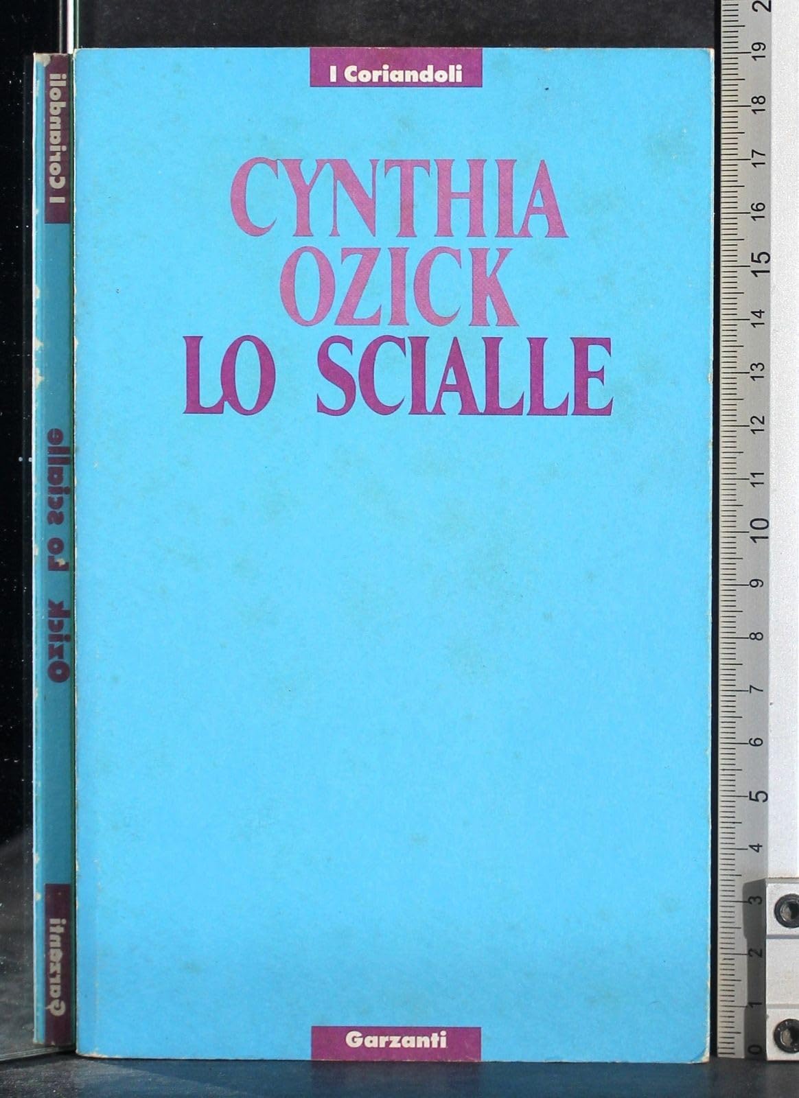 Lo scialle (I coriandoli) Contemporary literature