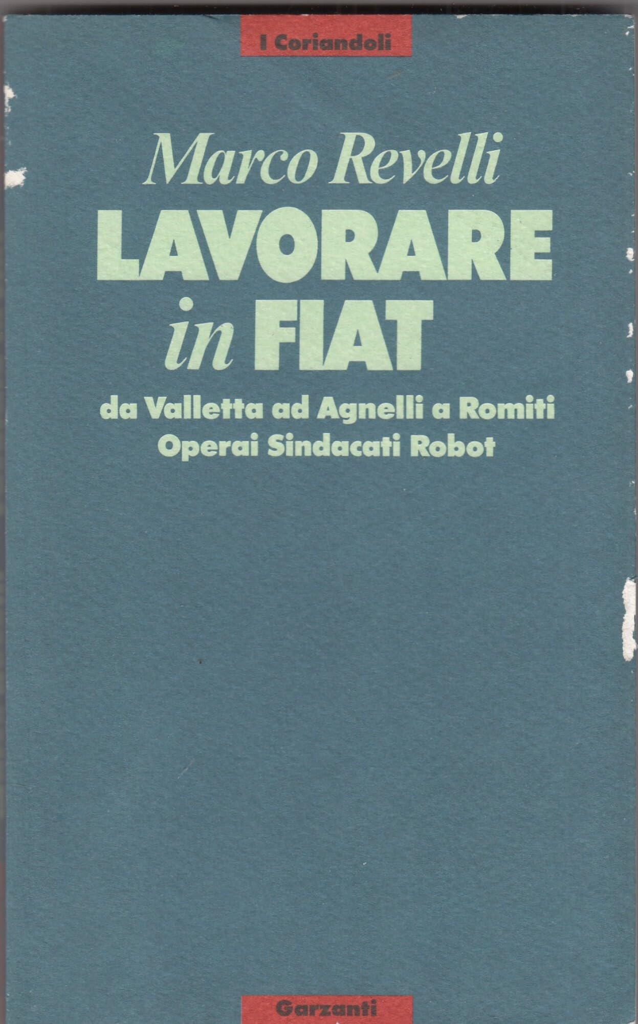 Lavorare in Fiat book