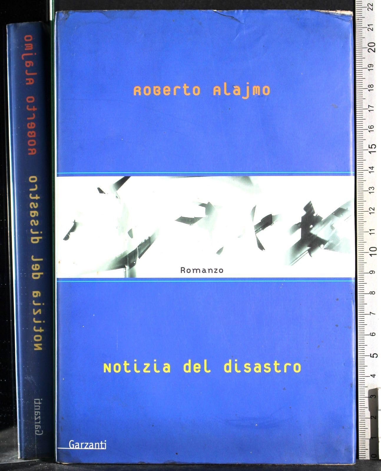 Notizia del disastro (Narratori moderni) Contemporary literature