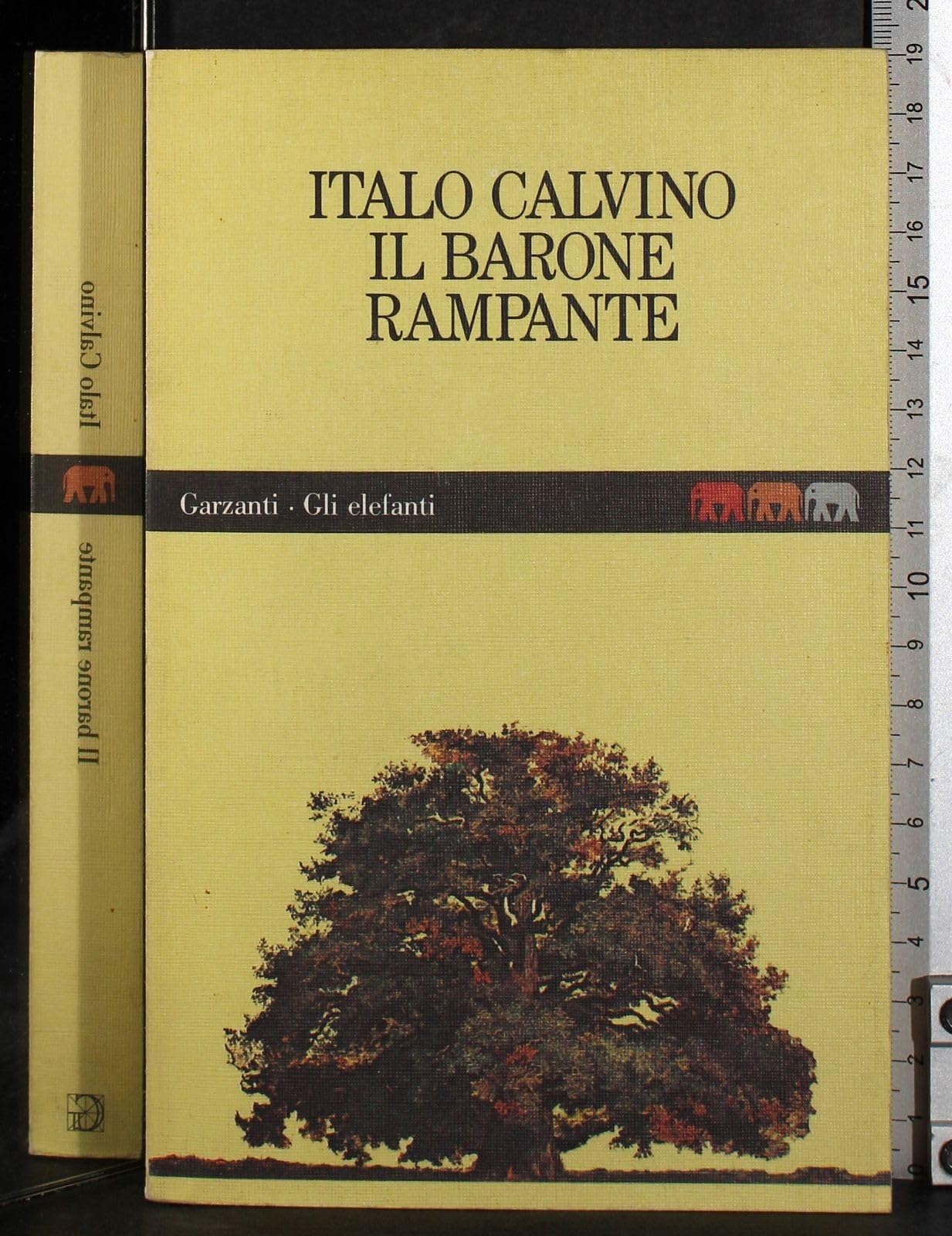 Il barone rampante book