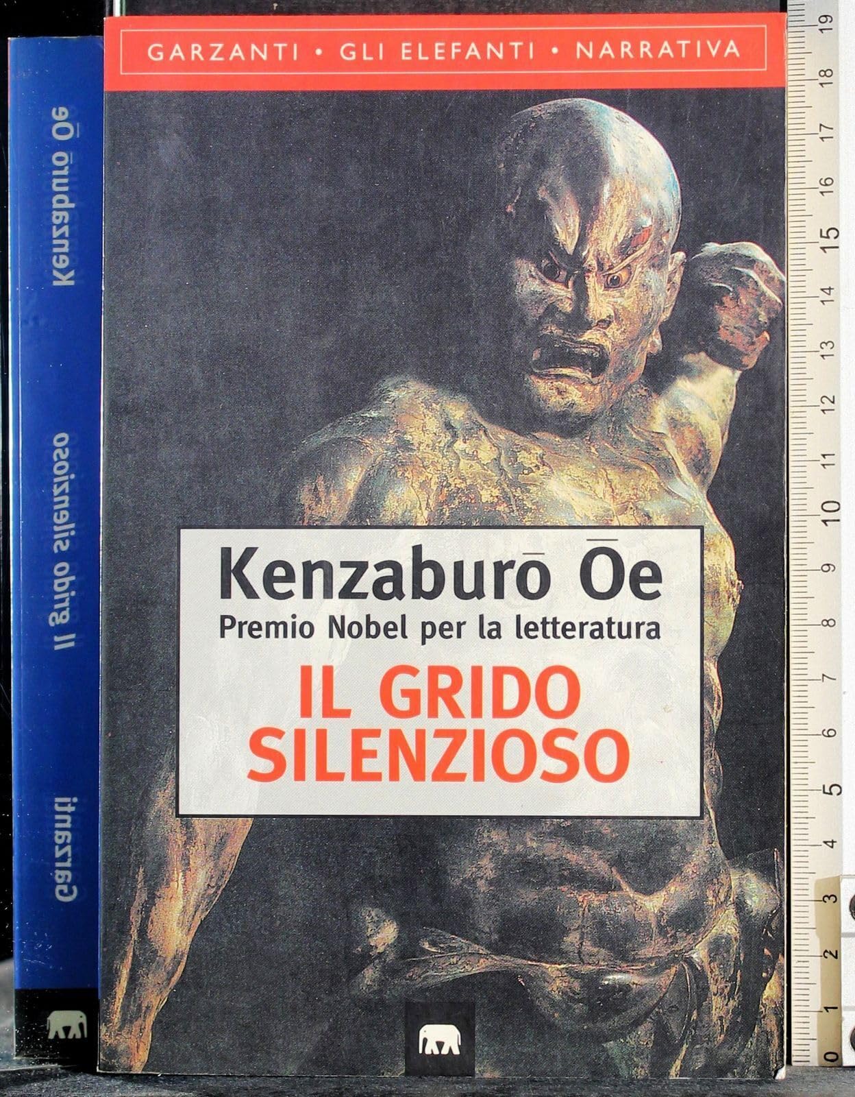 Il grido silenzioso (Gli elefanti. Narrativa) Contemporary literature