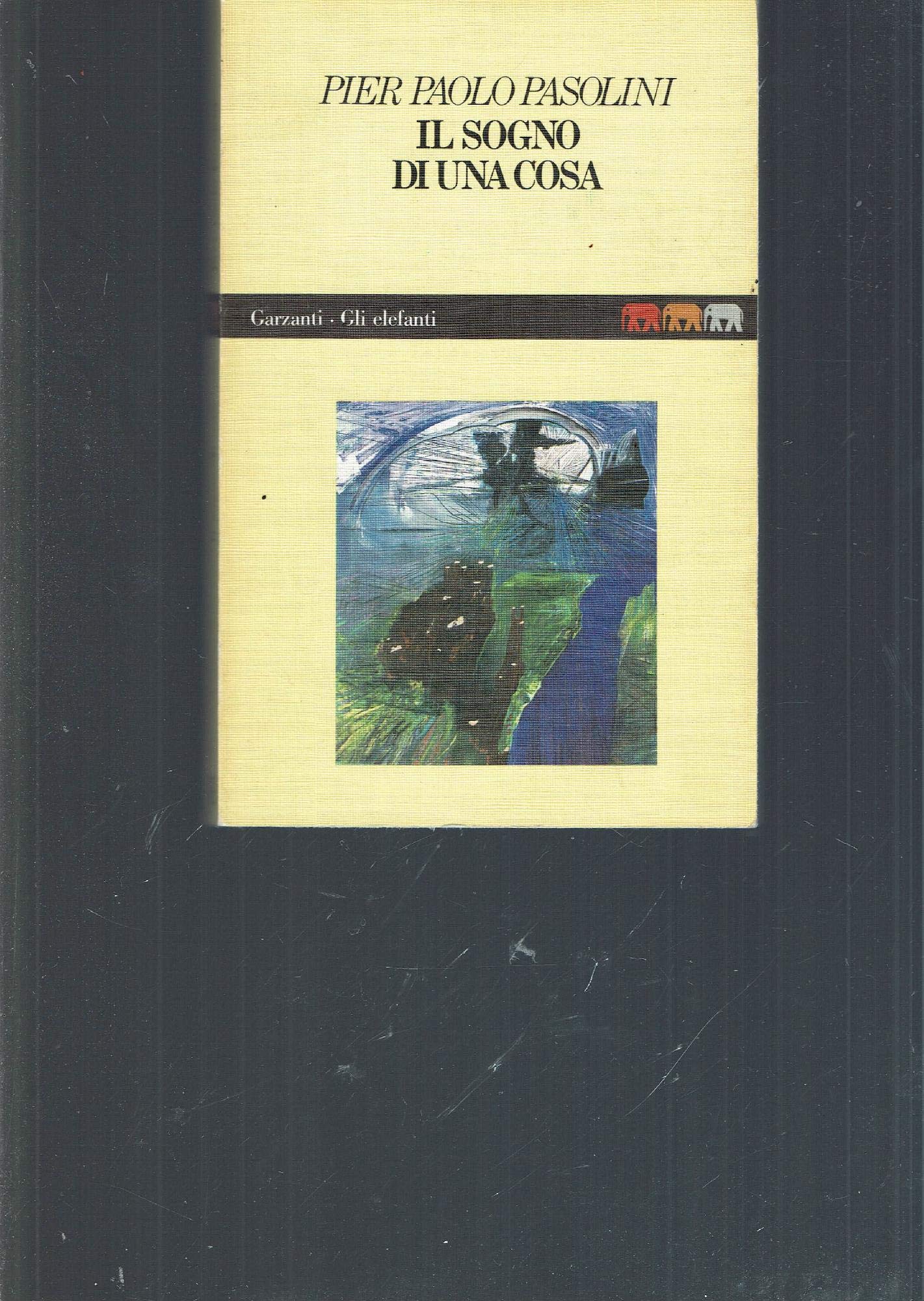 Il Sogno DI UNA Cosa book