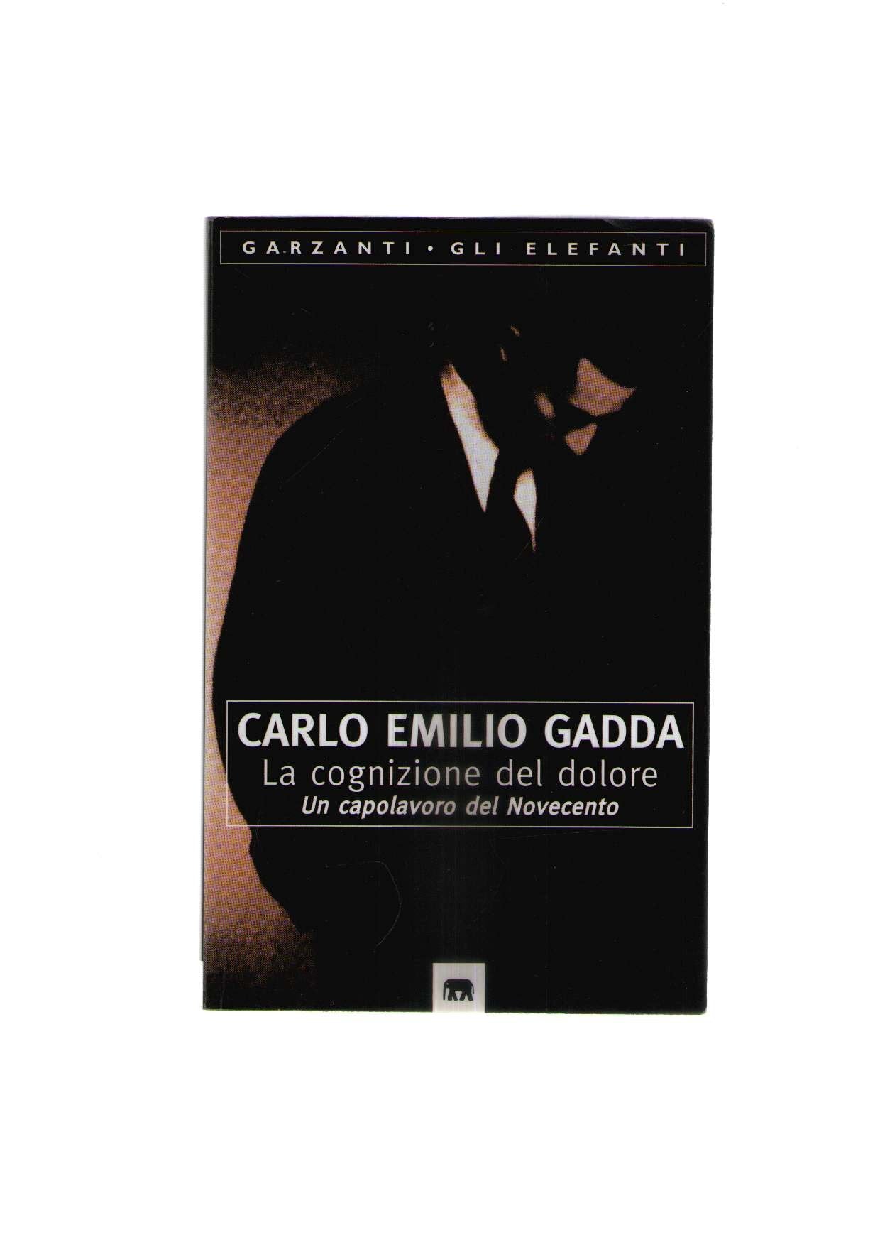 La cognizione del dolore book