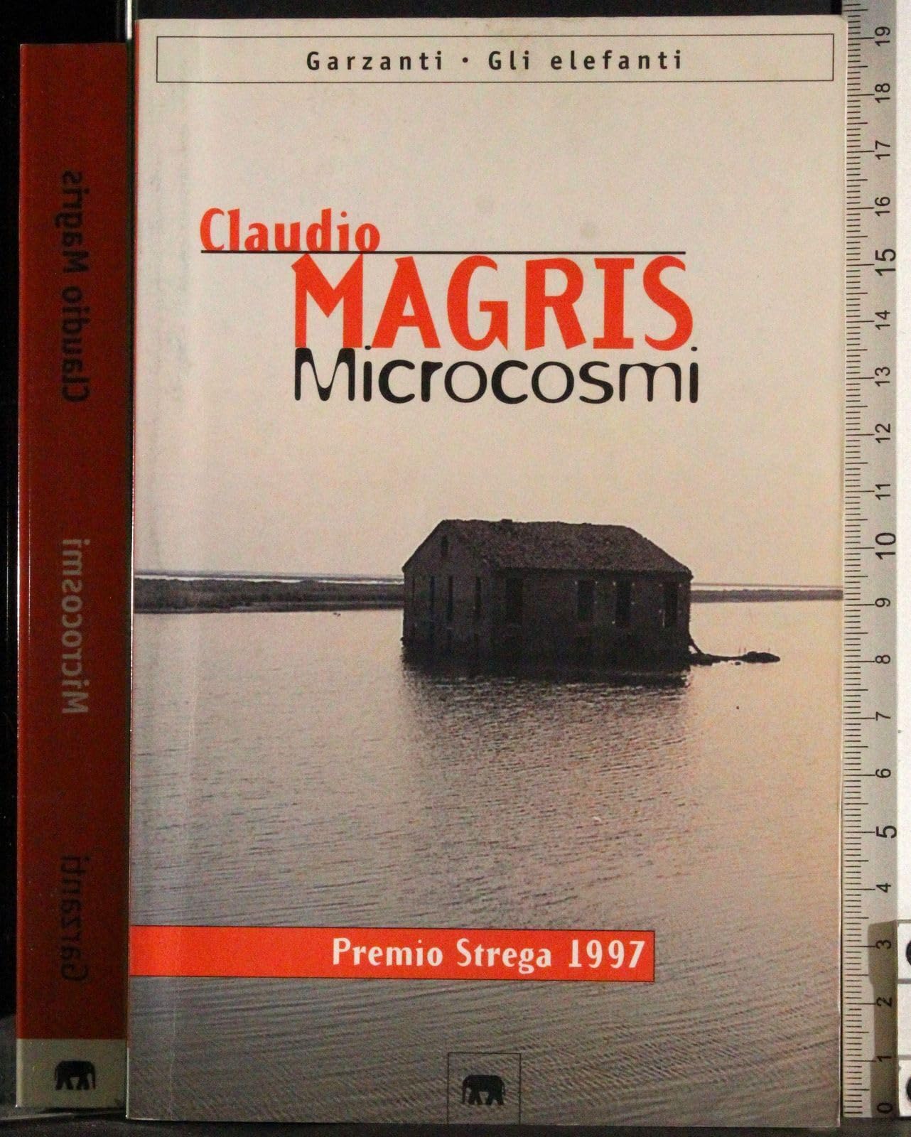 Microcosmi (Gli elefanti. Narrativa) Contemporary literature
