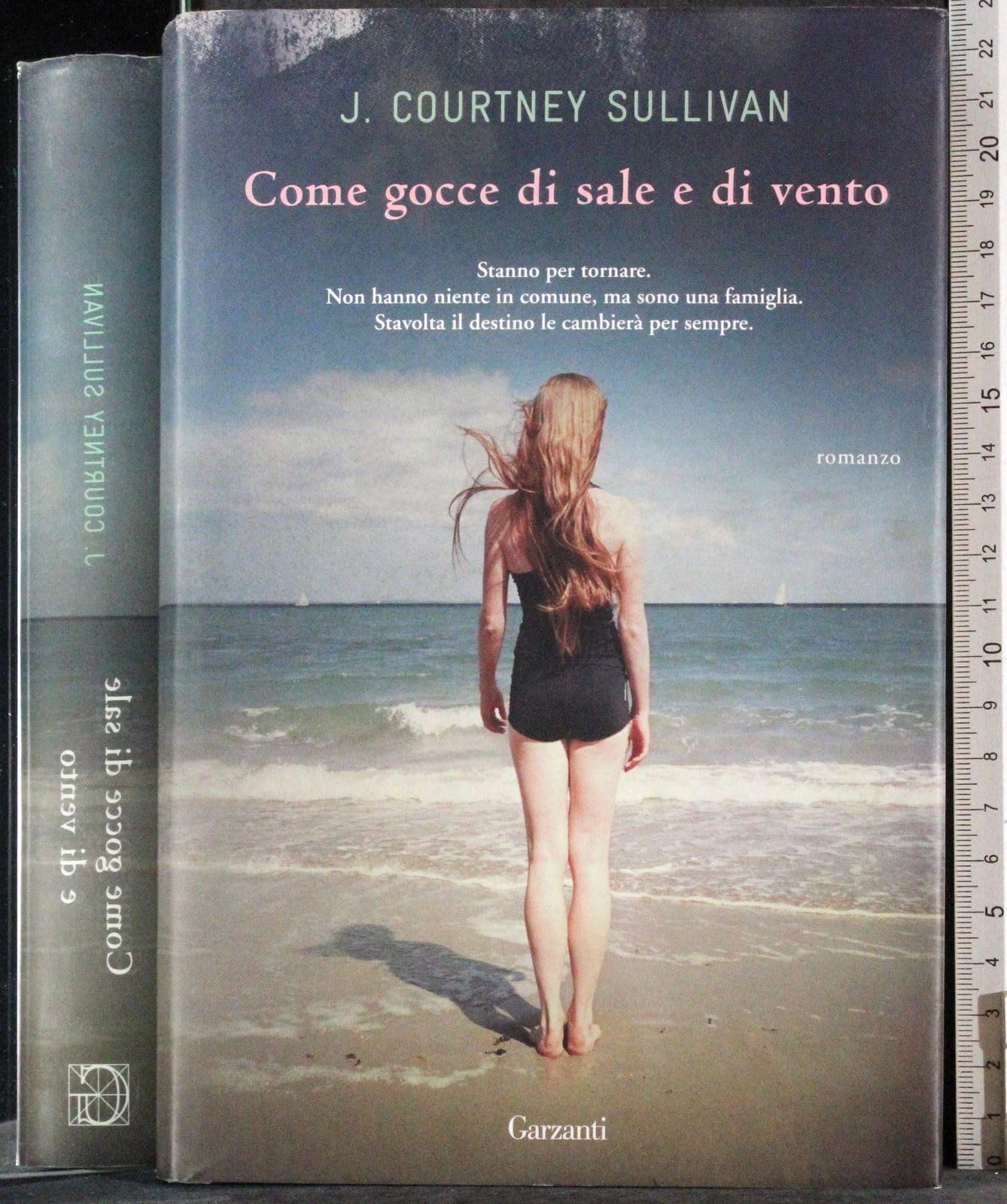 Come gocce di sale e di vento book