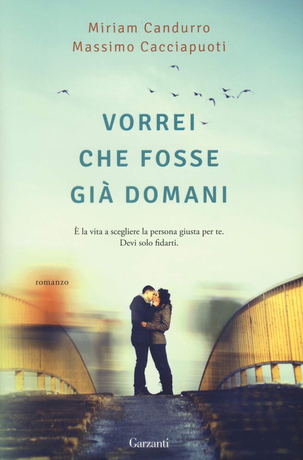 Vorrei che fosse già domani book