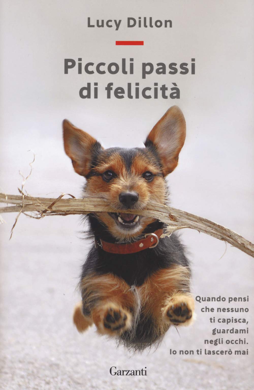 Piccoli passi di felicità (Sogni) Contemporary literature