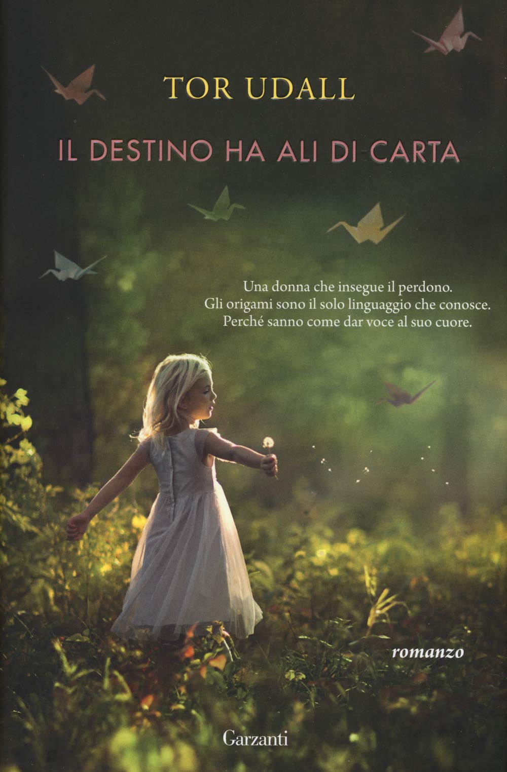 Il destino ha ali di carta book