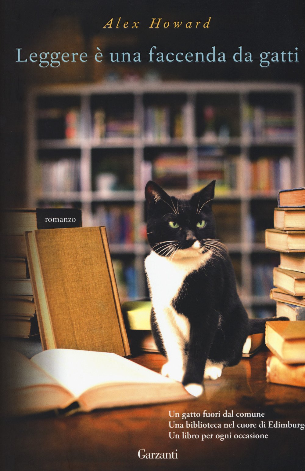 Leggere è una faccenda da gatti book