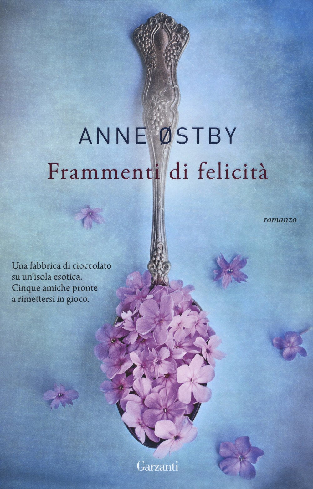 Frammenti di felicità book